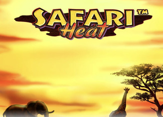 Safari heal Safari heal